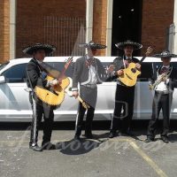 Aluguel de Limousines para Casamento